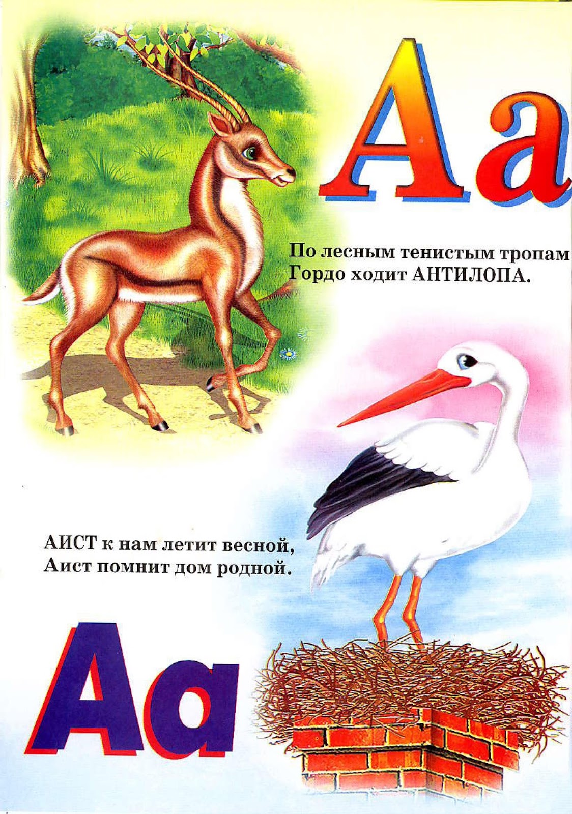 Живая Азбука